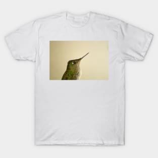 82018 Hummingbird T-Shirt